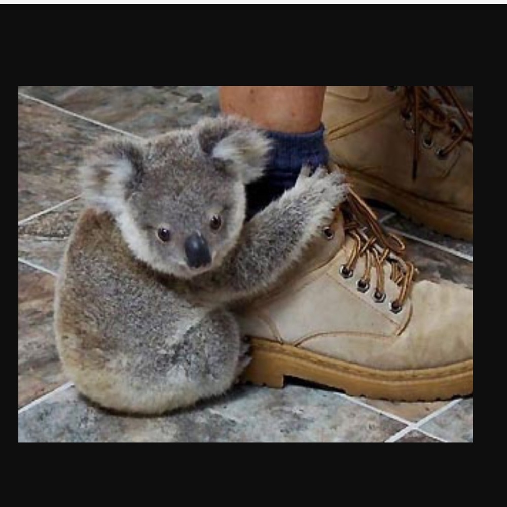 Meet your Posher, Josianne